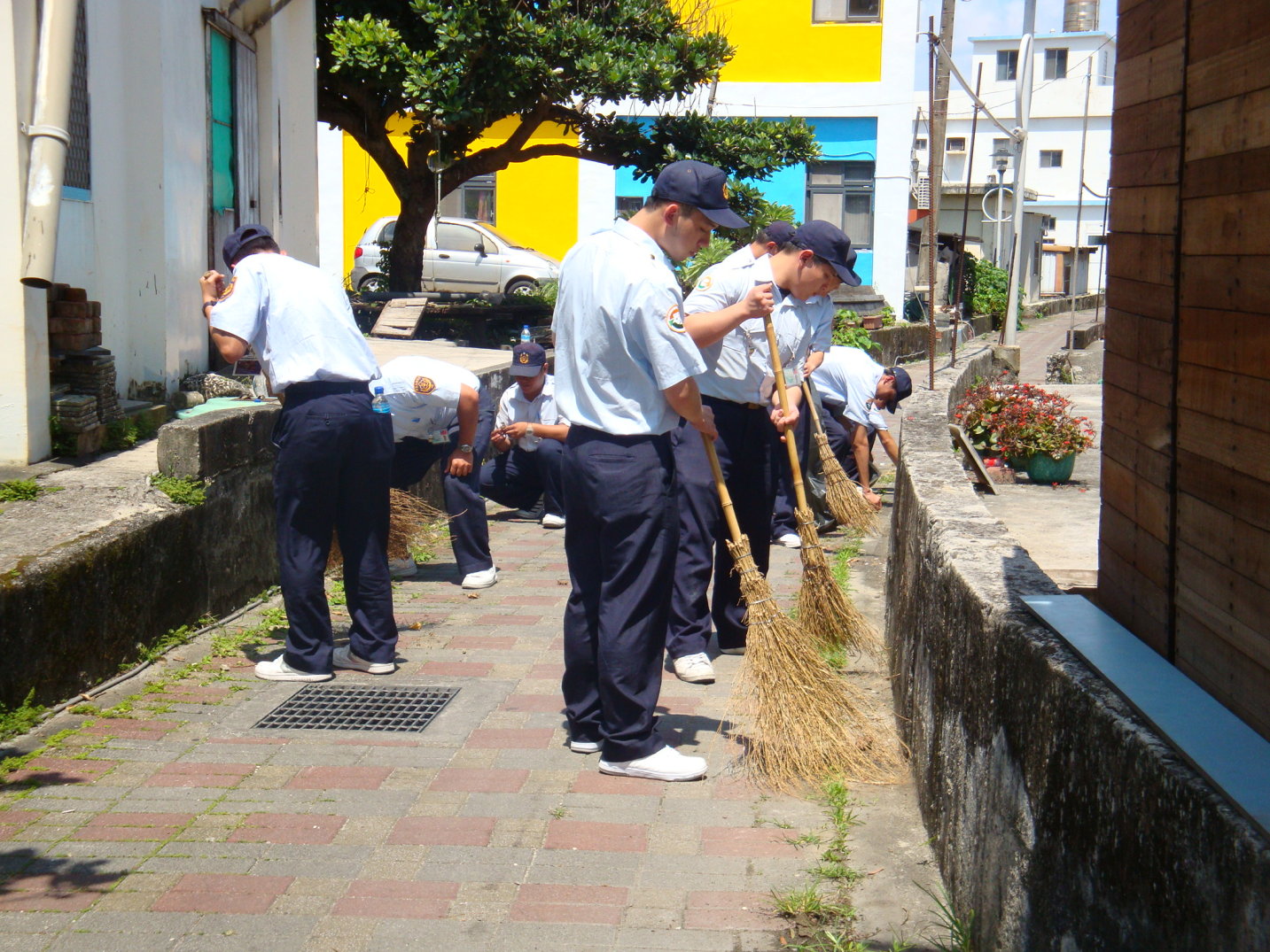 實施成果