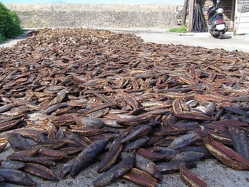 曬柴魚