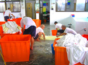 wash2
